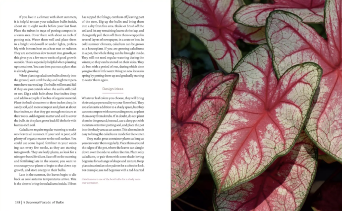 The Essential Guide to Bulbs Signed Copy - Image 3